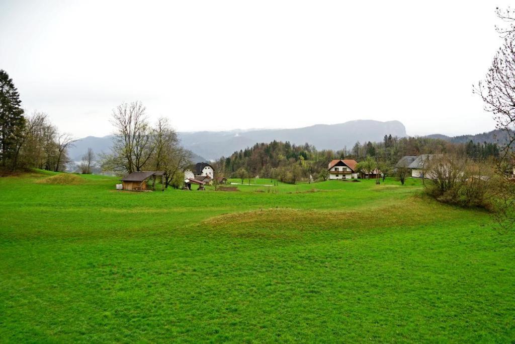 Apartament Erzen