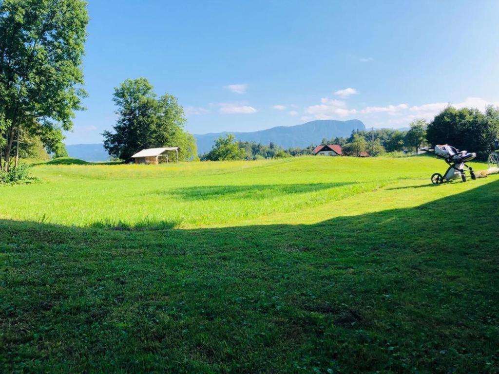 Apartament Erzen *